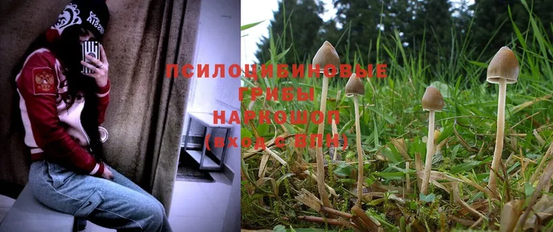 Галлюциногенные грибы Magic Shrooms Донецк